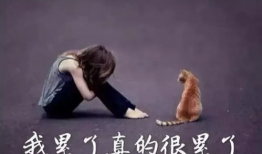 伤感的短视频,短视频中的伤感瞬间